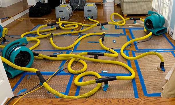 Professional Water Damage Restoration technician working in Cutler, ME